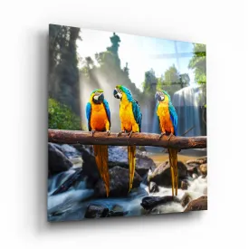 Colorful Parrots Glass Wall Art